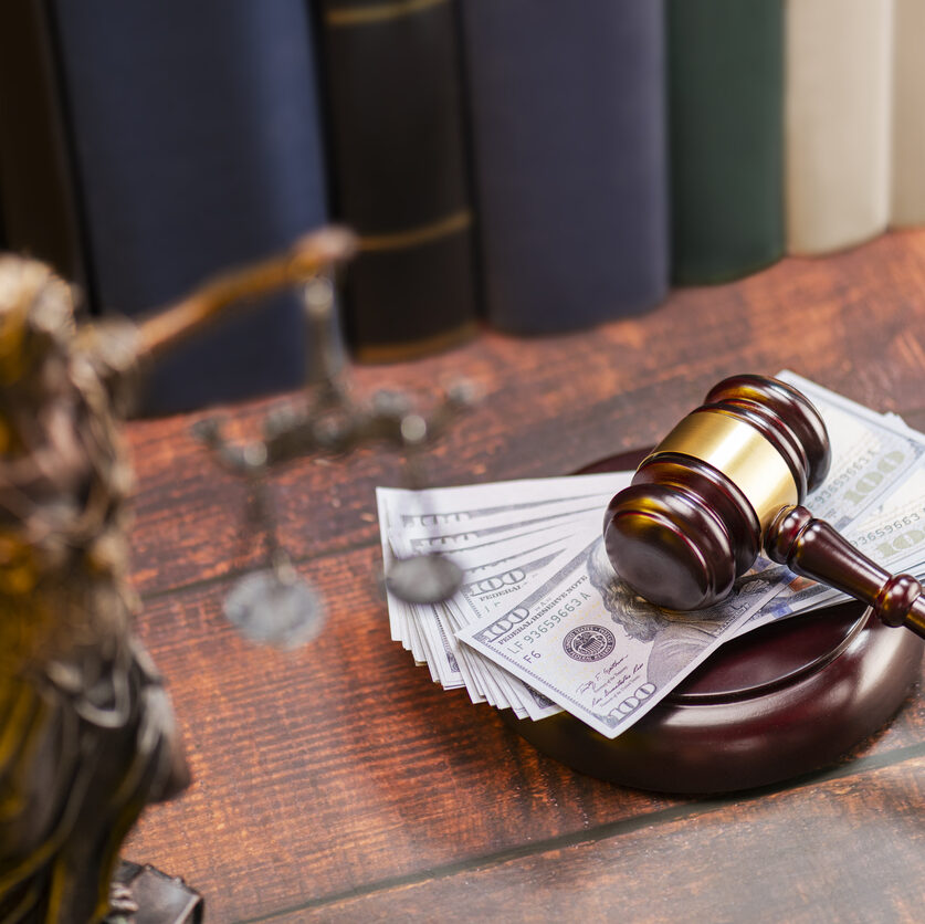 Law, Finance, Savings, Rescue, Reparations - Compensation